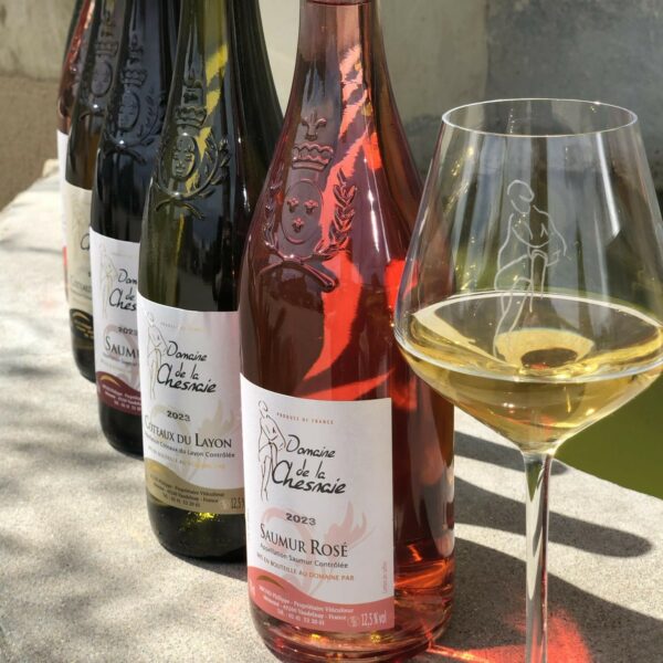 bf5eaaca-1ff2-4cc3-9783-5d556f35d46a