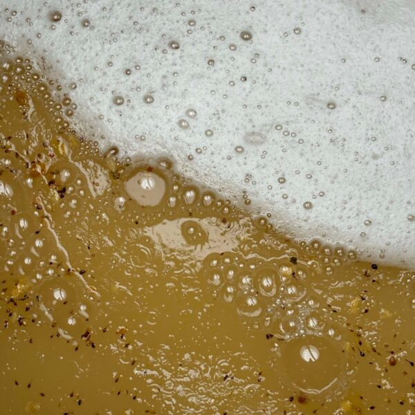 462548286_585798870463975_4415714046863648202_n