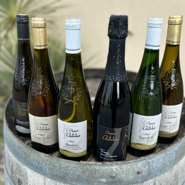 462566472_880265823881777_5297614822727616526_n