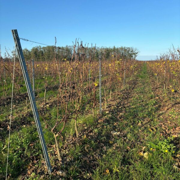 462567143_487184980999335_1691161219148724108_n